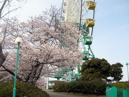 080403.jpg